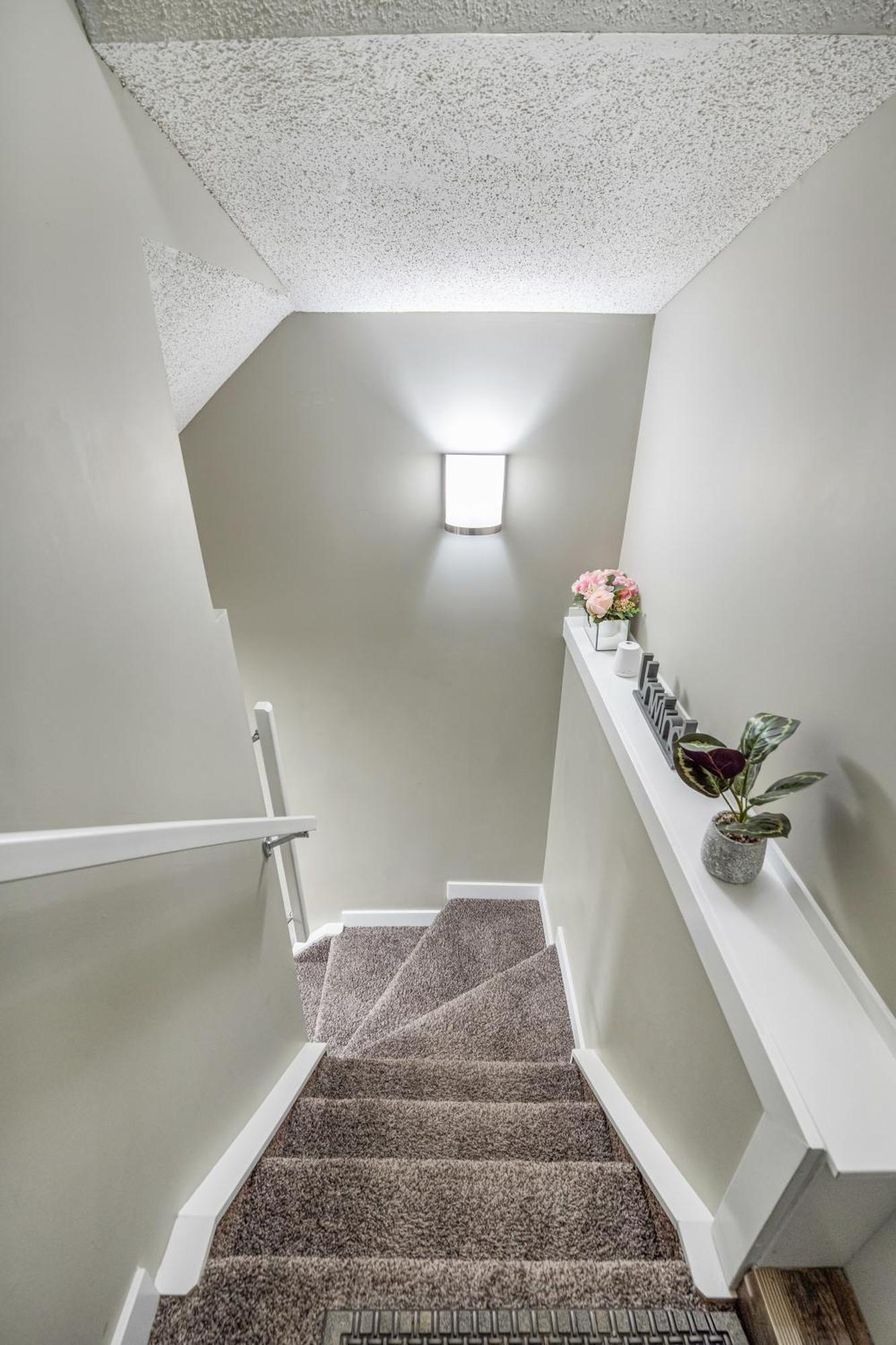 Modern 2 Bedroom Basement With Laundry Appartement